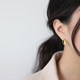 High Polished Sterling Silver Simple Style Irregular Geometry Shape Women's Fashion Stud Earrings - lanciashow