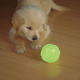 Dog Pet Squeaky Toys,Soft Rubber Luminous Pet Chewing,Puppy Chew Toy - lanciashow