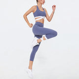 Yoga Suit For Women Sport Clothing Fitness Vest Tights Sets Dancing Dress - lanciashow