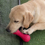 Dog Slow Feeder,Interactive Dog Toys, Dog Puzzle Toys, Treat Dispensing Dog Toys, Dog Bowls - lanciashow